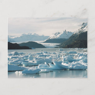 Glacial Icebergs Postcard