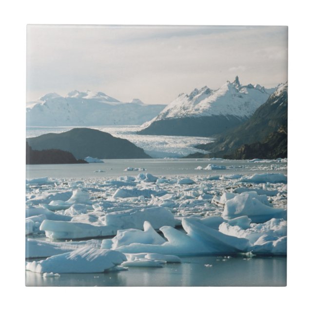 Glacial Icebergs Tile (Front)