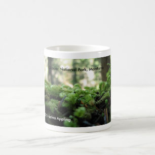 Glacier National Park, Montana Mossy Mug