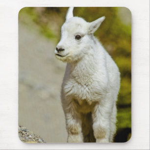 Glacier National Park, Montana, USA, Mountain Mouse Pad