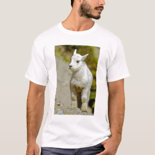 Glacier National Park, Montana, USA, Mountain T-Shirt
