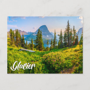 Glacier National Park, Montana, USA Postcard