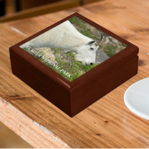 Glacier National Park Mountain Goat Photo Gift Box