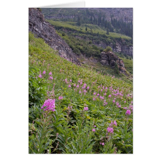 Glacier Park (Front)