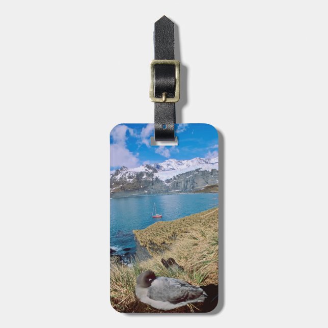 Glaciers and sailing yacht in background luggage tag (Front Vertical)
