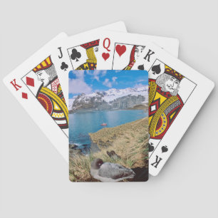 Glaciers and sailing yacht in background playing cards