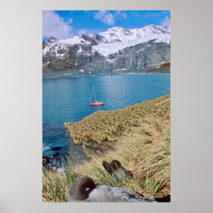 Glaciers and sailing yacht in background poster