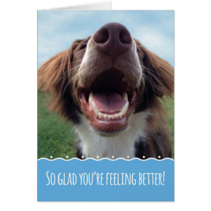 Glad You're Feeling Better, Smiling Dog