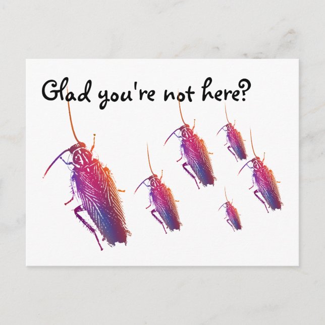 Glad you're not here? Colourful cockroaches Postcard (Front)