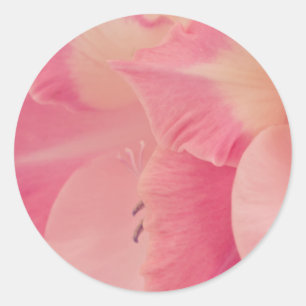 Gladiola Petals Classic Round Sticker