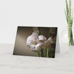 Gladioli, card