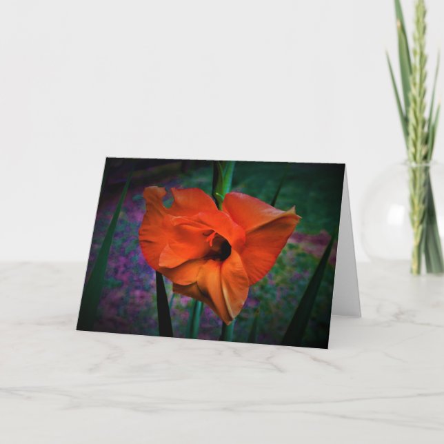 Gladioli, card (Front)
