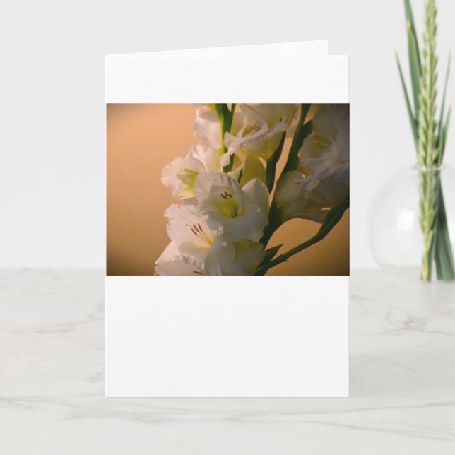 Gladioli, card (Front)