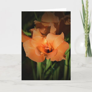 Gladioli, card