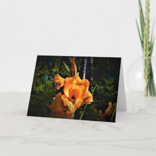 Gladioli, card
