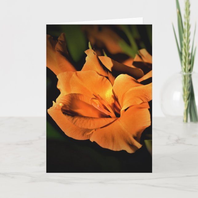 Gladioli, card (Front)