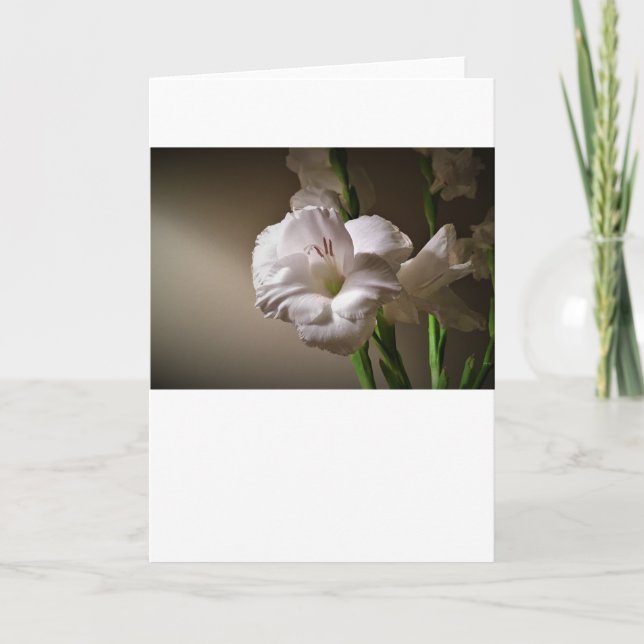 Gladioli, card (Front)