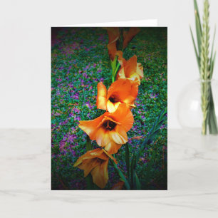 Gladioli, card