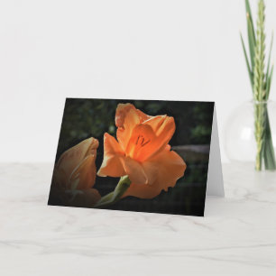 Gladioli, card