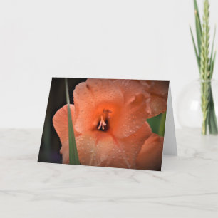 Gladioli, card