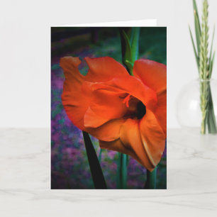 Gladioli, card