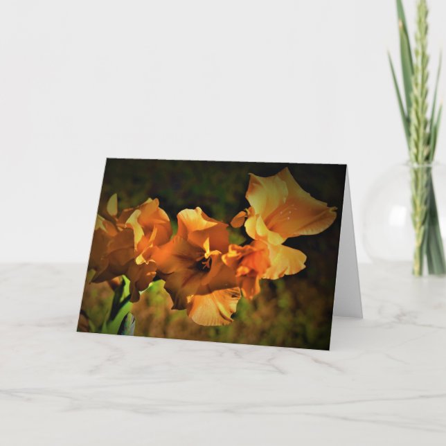 Gladioli, card (Front)