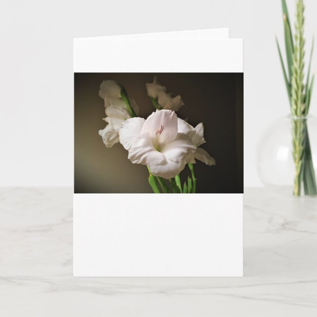 Gladioli, card (Front)