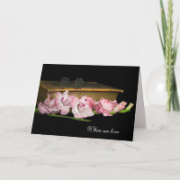 Gladiolus with Vintage Bible Sympathy