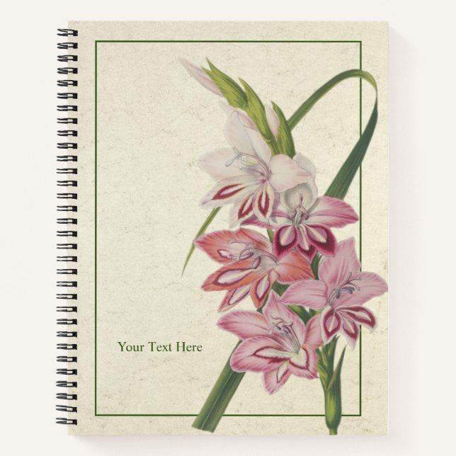 Glaielus Truffaut Notebook (Front)