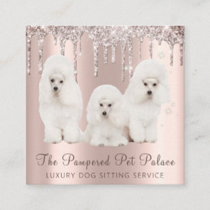 Glam Gold Rose Glitter Drips Poodle Pet Sitting Square Business Card
