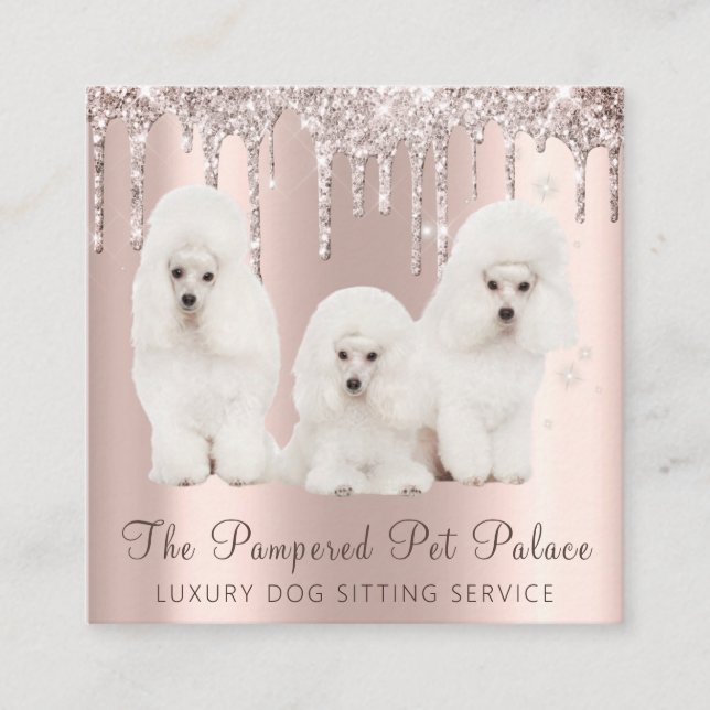 Glam Gold Rose Glitter Drips Poodle Pet Sitting Square Business Card (Front)