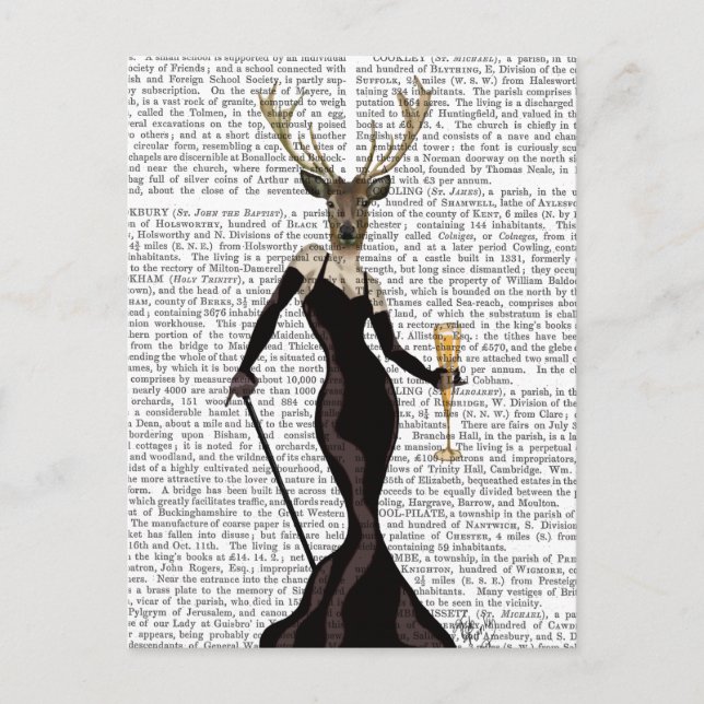 Glamour Deer in Black Postcard (Front)