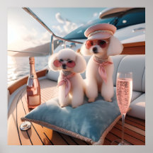 Glamour fashion luxury lifestyle photo