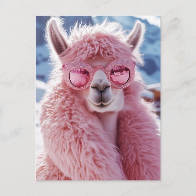 Glamourous Pink Llama - Winter Fashion Icon Postcard (Front)