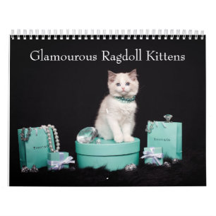 Glamourous Ragdoll Kittens Calendar