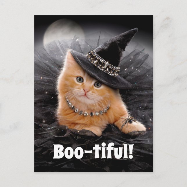 Glamourous Witch Kitten Invitation Postcard (Front)
