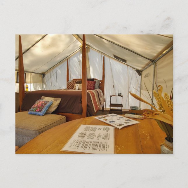 Glamping Tent Interior Cosy Camping Setup Postcard (Front)