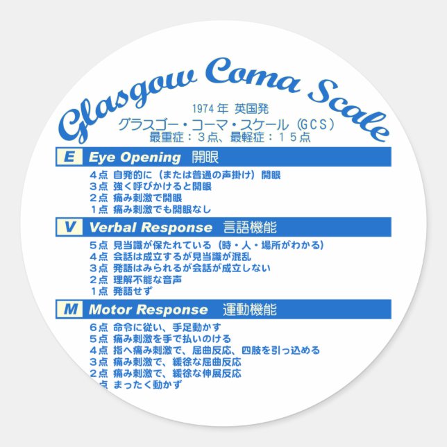 Glasgow Coma Scale Classic Round Sticker (Front)