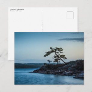 Glaskogen Sweden Postcard