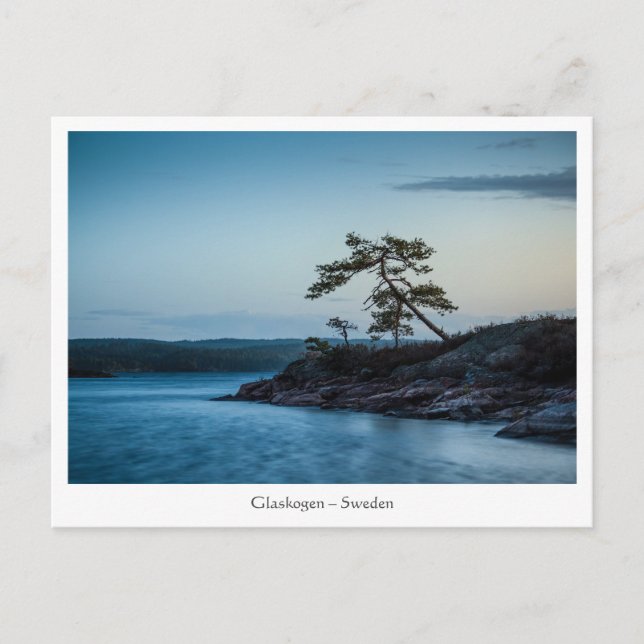 Glaskogen Sweden Postcard (Front)