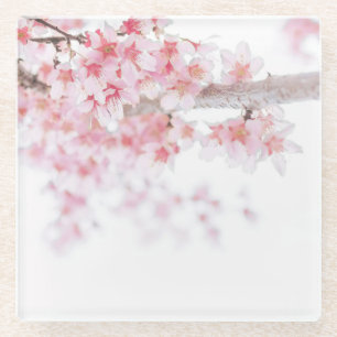 GLASS COASTER : CHERRY BLOSSOM