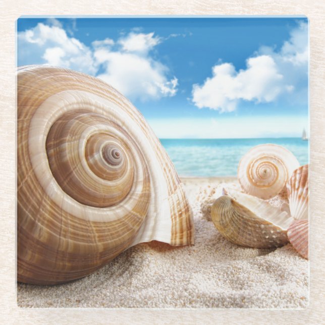 Glass Coaster-Sea Shells Glass Coaster (Front)
