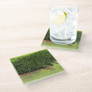 Glass Coaster - Spider Web with Raindrops