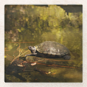 Glass Coaster - Turtle on Log in Pond