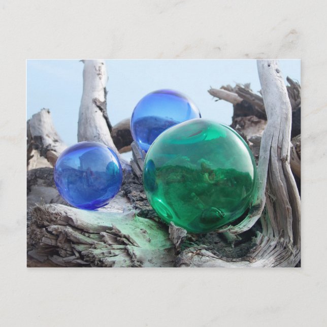 Glass Floats on Driftwood Postcard (Front)