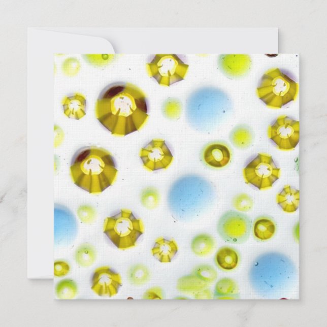 glass garden no. 3 (Front)