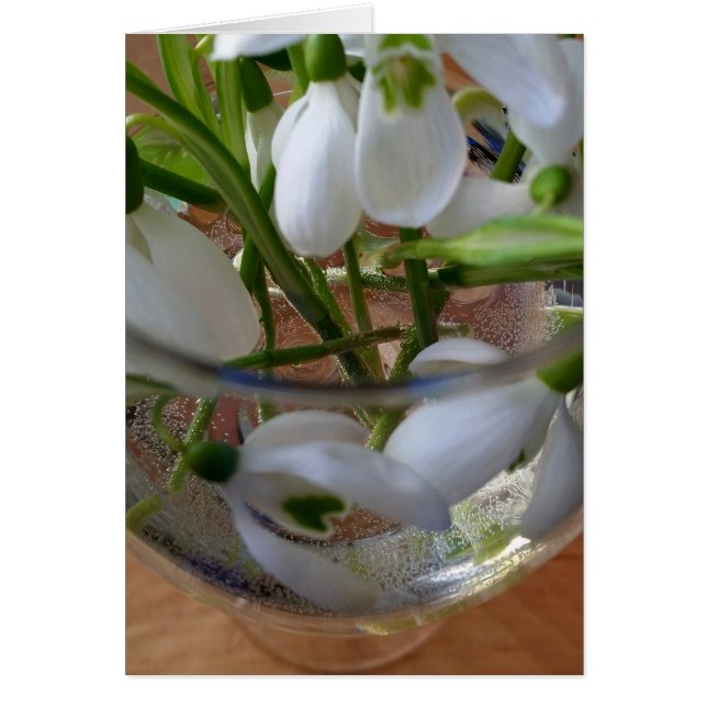 glass of snowdrops (Front)