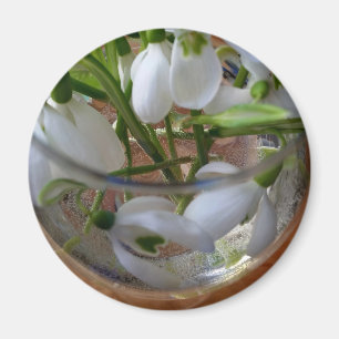 glass of snowdrops magnet