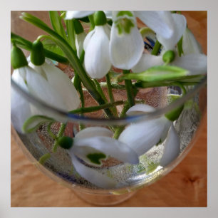 glass of snowdrops poster