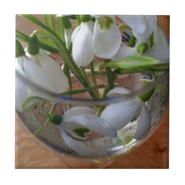 glass of snowdrops tile (Front)